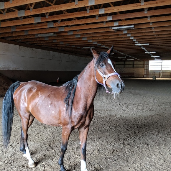 Happiness - Picture 5 of 6